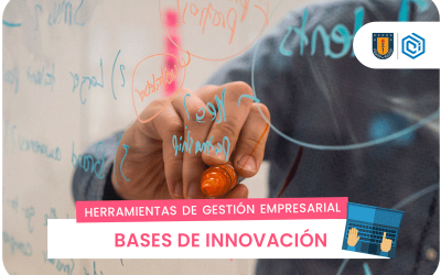 Bases de Innovación